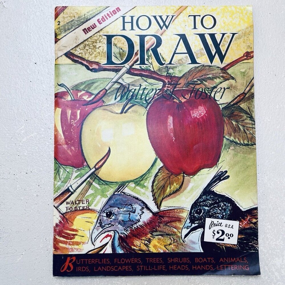 Vintage How To Draw By Walter Foster Butterflies Flowers Trees Shrubs Heads